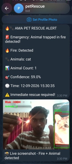 Animal Pet Rescue  – screenshot 1