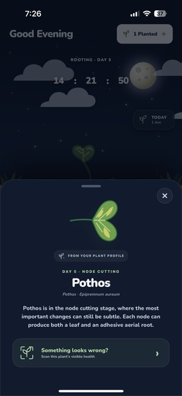 Sprout : Your AI Plant Companion – screenshot 2