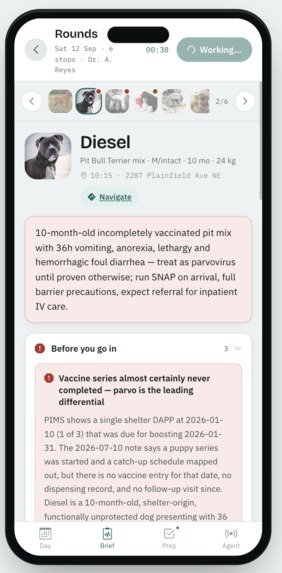 Rounds – screenshot 5