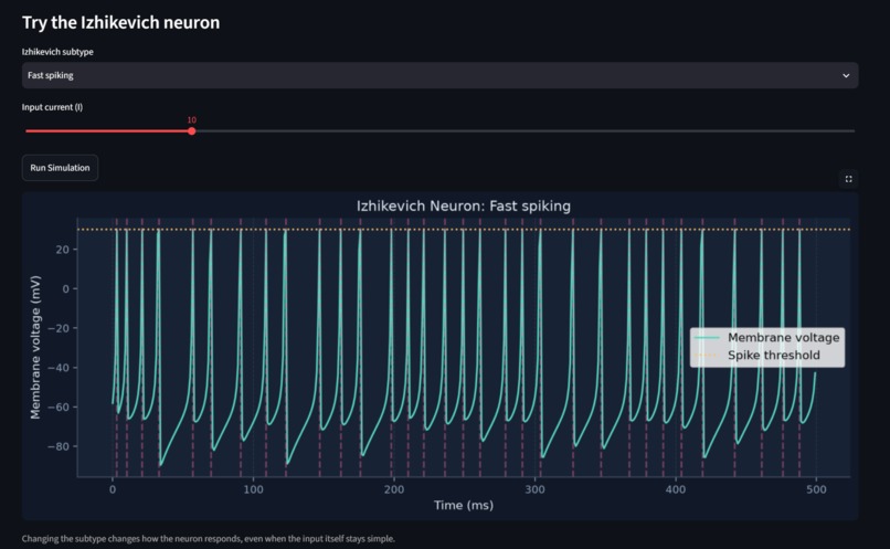 NeuroSim – screenshot 1