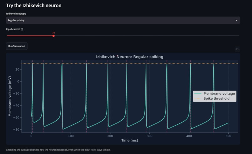 NeuroSim – screenshot 2