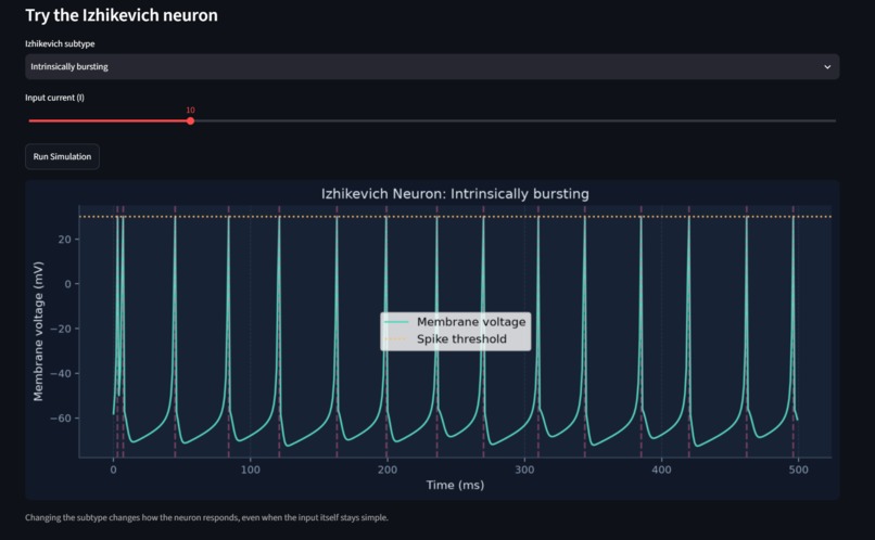 NeuroSim – screenshot 3