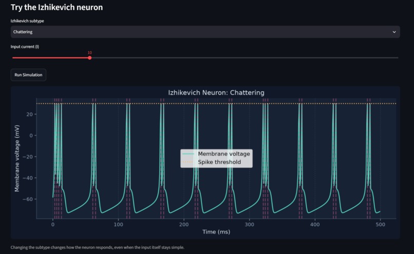NeuroSim – screenshot 4