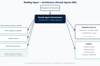 MedReg Agent