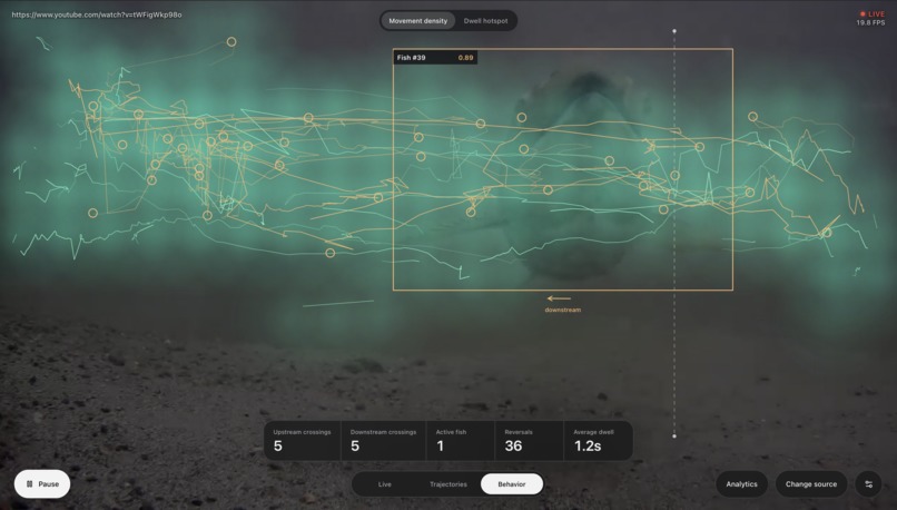 Fyolo – screenshot 2