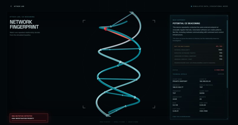 Network DNA – screenshot 2