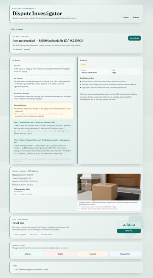 E-Commerce Dispute Investigator – screenshot 4