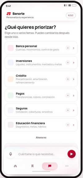 intellibank  – screenshot 3