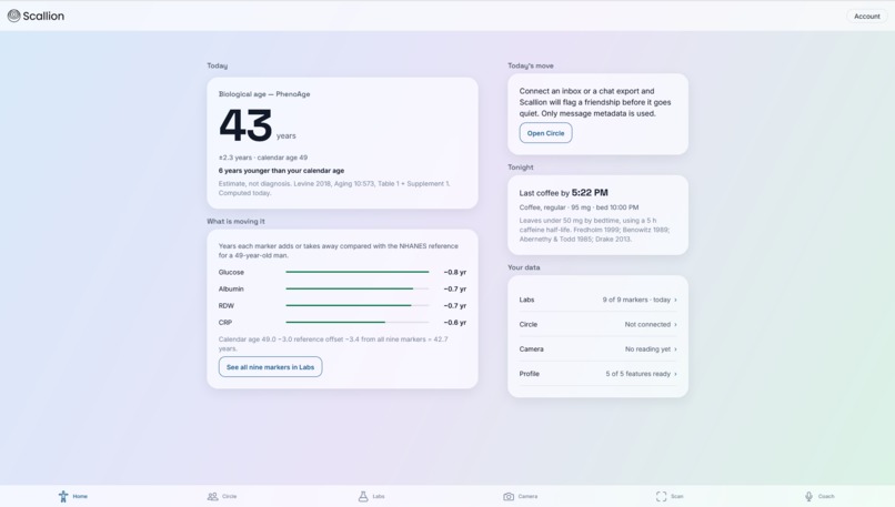 Scallion – screenshot 1
