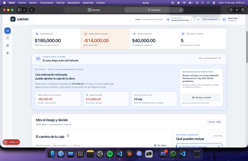 Colchón: Cash Flow Safety Net – screenshot 6