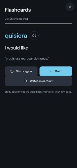 LinguaLoop – screenshot 2