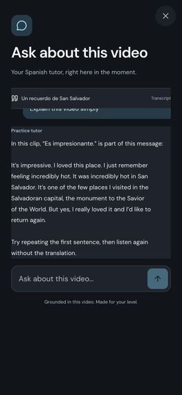 LinguaLoop – screenshot 7