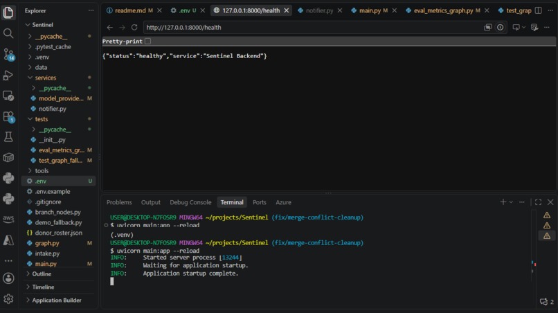 Sentinel – screenshot 1