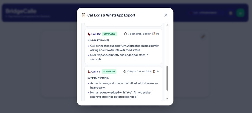 BridgeCalle – screenshot 2