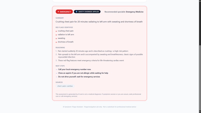 AI Symptom-Triage Assistant – screenshot 2