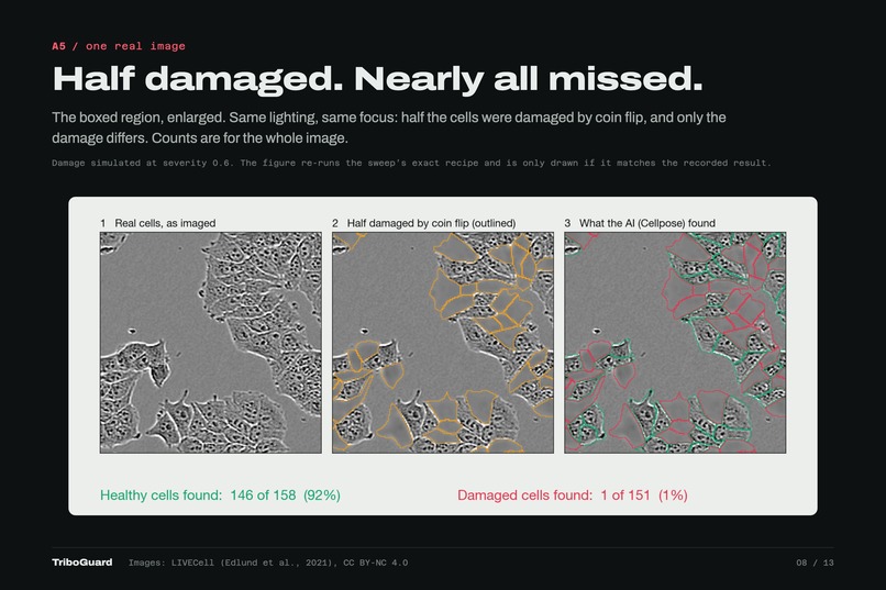 TriboGuard AI – screenshot 5