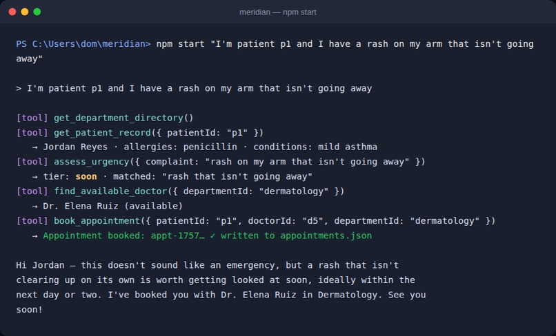 meridian – screenshot 3