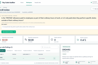 Pay Code Auditor