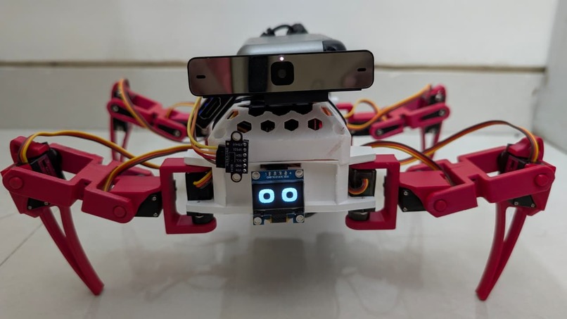 WebberTheSpiderBot – screenshot 1
