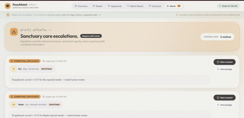 pawsMatch – screenshot 7