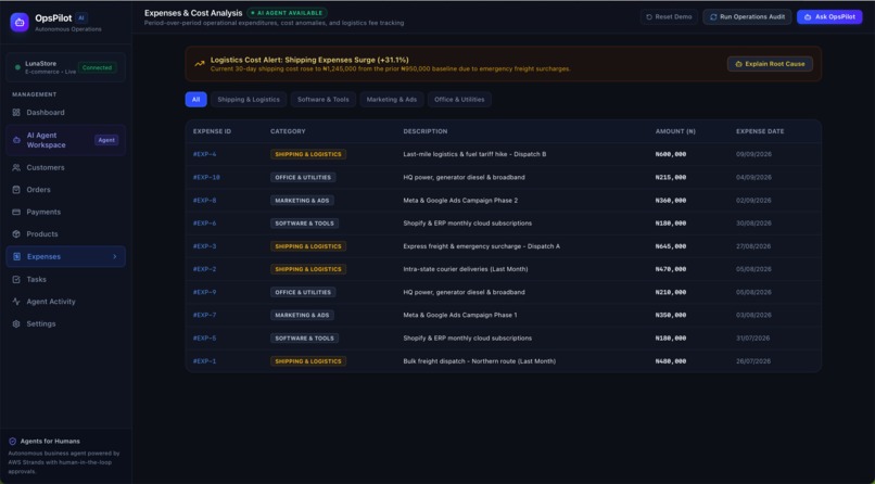 OpsPilot — AI Operations Agent for Small Businesses – screenshot 7