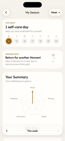 Day Bloom – screenshot 3