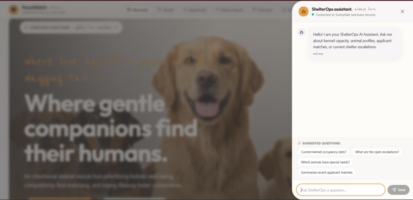 pawsMatch – screenshot 8