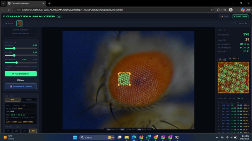 Drosophila Species Morphometrics  – screenshot 1