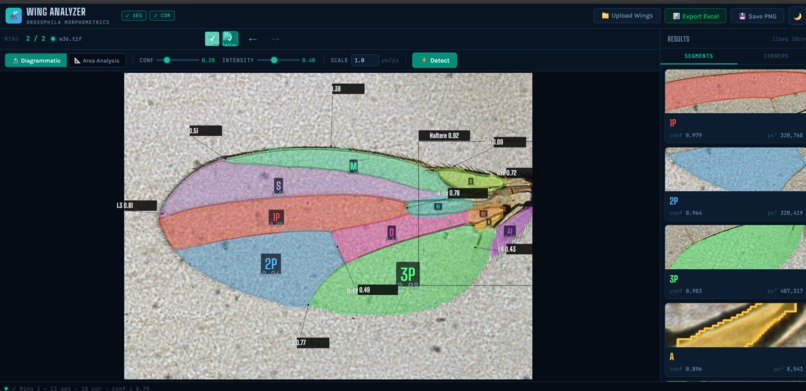 Drosophila Species Morphometrics  – screenshot 2
