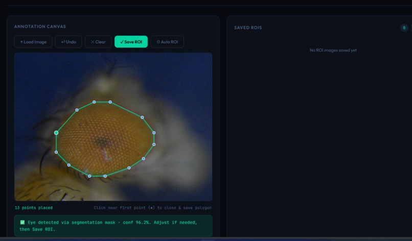 Drosophila Species Morphometrics  – screenshot 4