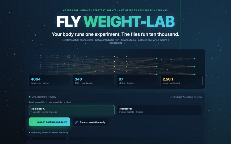 FLY WEIGHT-LAB – screenshot 2