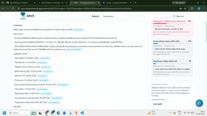 GRUS — Hospital Emergency Decision Support System – screenshot 7