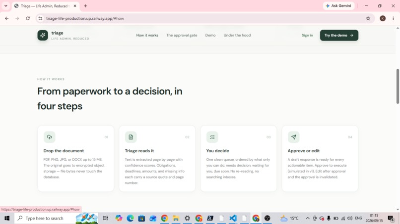 Triage-Life – screenshot 4