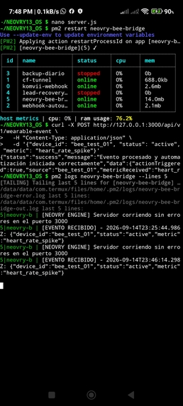 NEOVRY13-OS – screenshot 1