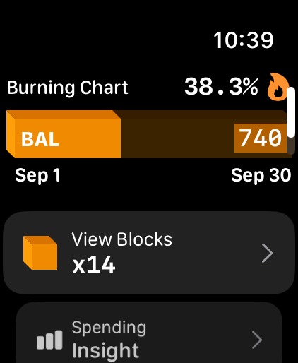 Money Block – screenshot 9