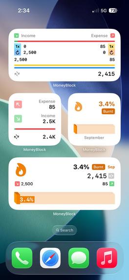 Money Block – screenshot 7
