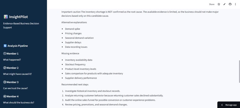 InsightPilot AI-Powered Business Analysis & Decision Support – screenshot 3