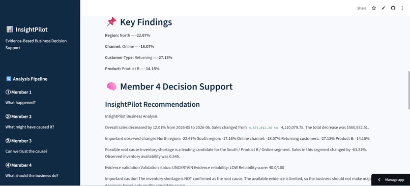 InsightPilot AI-Powered Business Analysis & Decision Support – screenshot 5