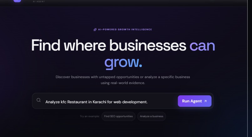 Business Growth Agent – screenshot 4
