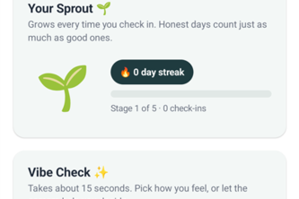 Anchor:Consent Based Digital Wellbeing Co-Pilot for GenAlpha