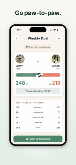 Pupnik: Dog Walking Adventure – screenshot 5