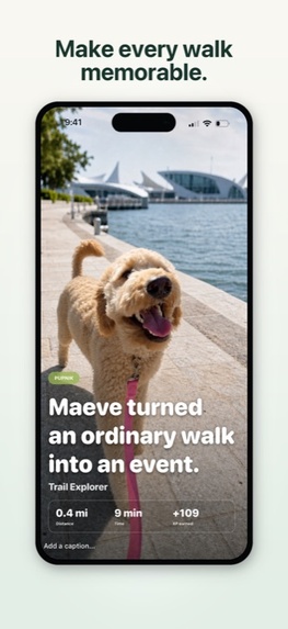 Pupnik: Dog Walking Adventure – screenshot 6