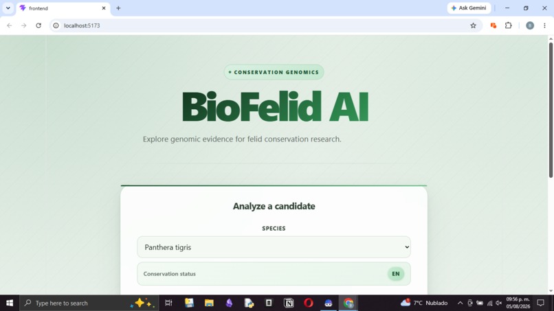 BioFeld-AI  – screenshot 1