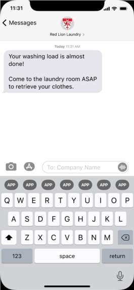 Red Lions Laundry – screenshot 13
