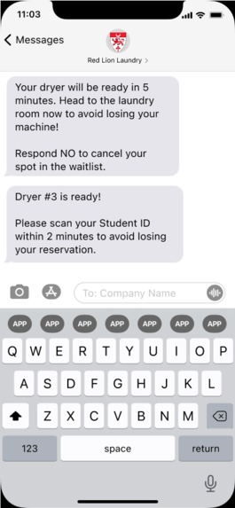 Red Lions Laundry – screenshot 12