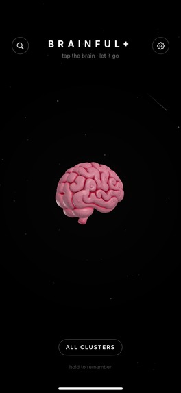 Brainful+ Diary Journal – screenshot 2