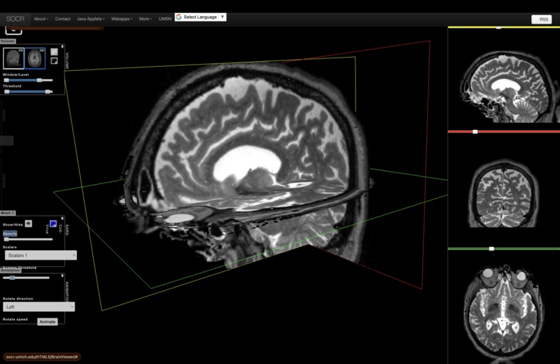 Cross-Modal 3D Brain Tumor MRI Retrieval – screenshot 1
