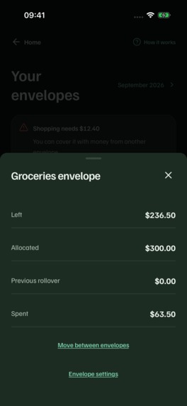 Cuentio: AI Expense Tracker – screenshot 5