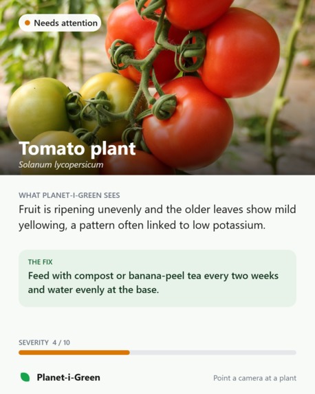 Planet-i-Green – screenshot 14