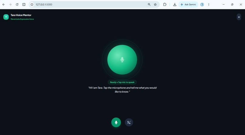 Tara AI – screenshot 2